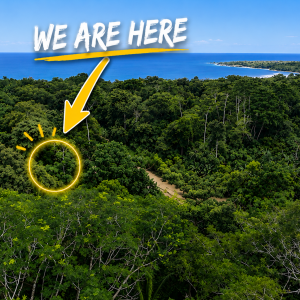 Costa Rica Tour